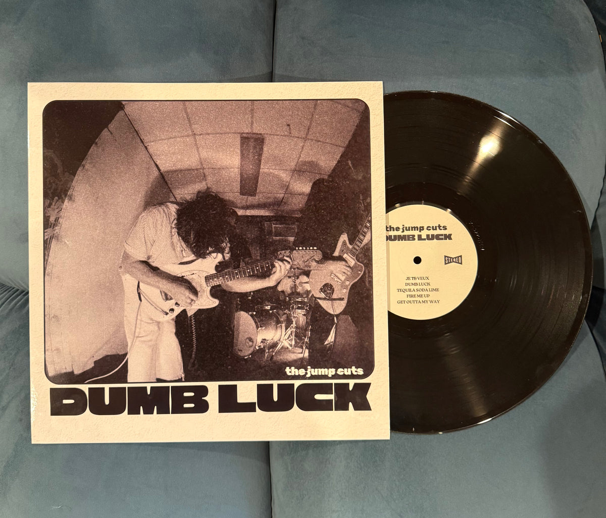 DUMB LUCK Vinyl